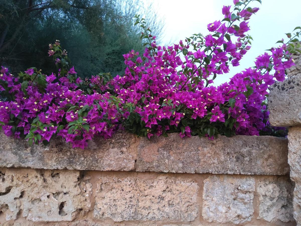 Casetta Vacanza In Campagna Aradeo Buitenkant foto