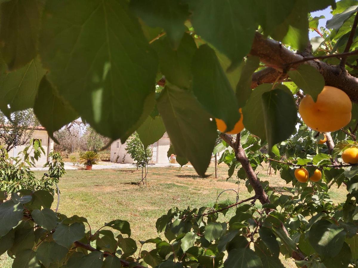 Casetta Vacanza In Campagna Aradeo Buitenkant foto