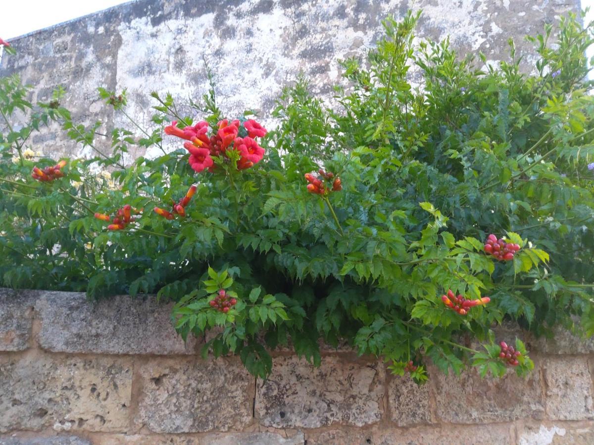 Casetta Vacanza In Campagna Aradeo Buitenkant foto