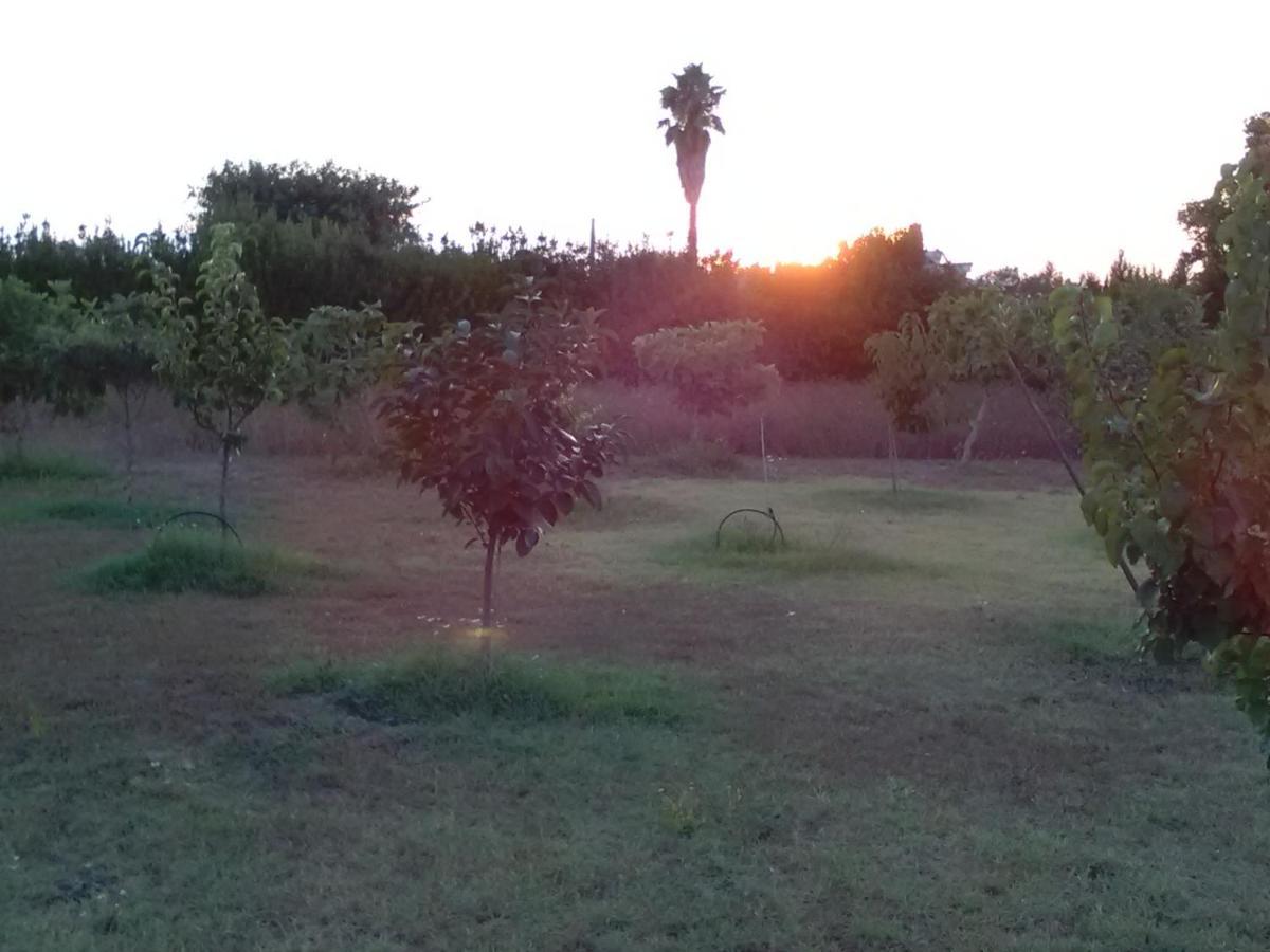 Casetta Vacanza In Campagna Aradeo Buitenkant foto