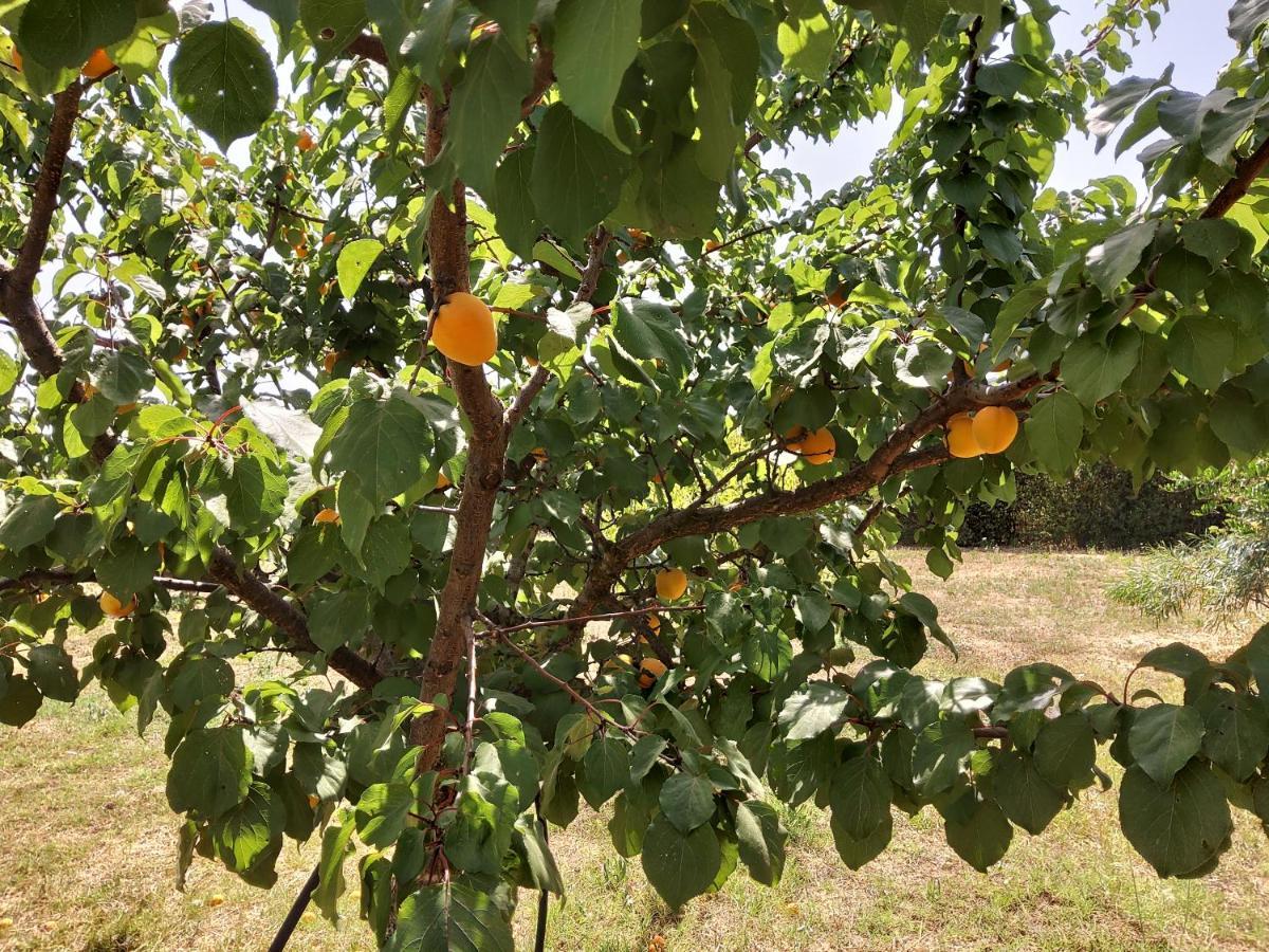 Casetta Vacanza In Campagna Aradeo Buitenkant foto