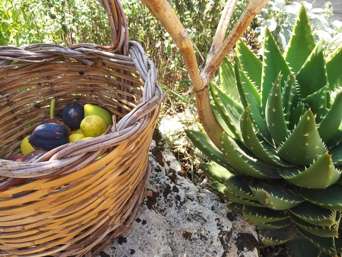 Casetta Vacanza In Campagna Aradeo Buitenkant foto