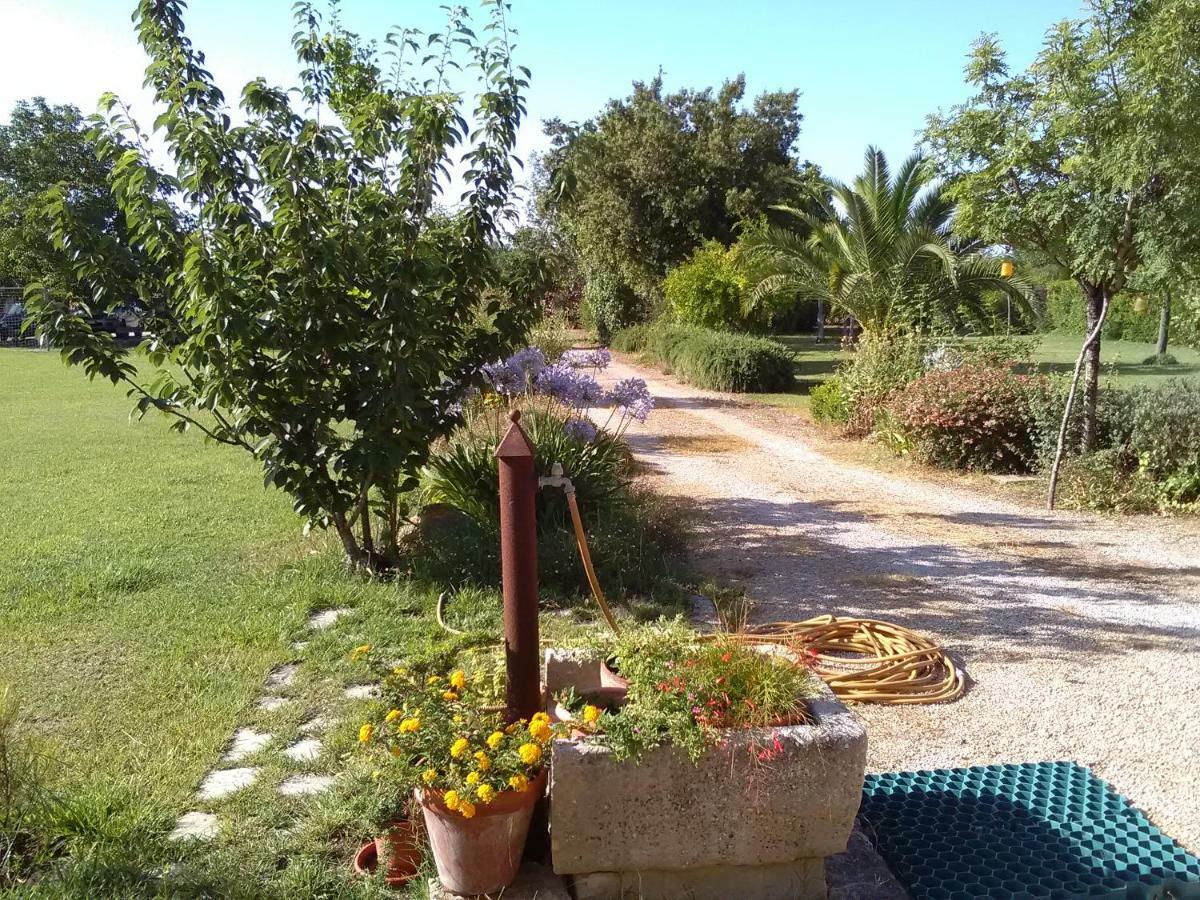 Casetta Vacanza In Campagna Aradeo Buitenkant foto