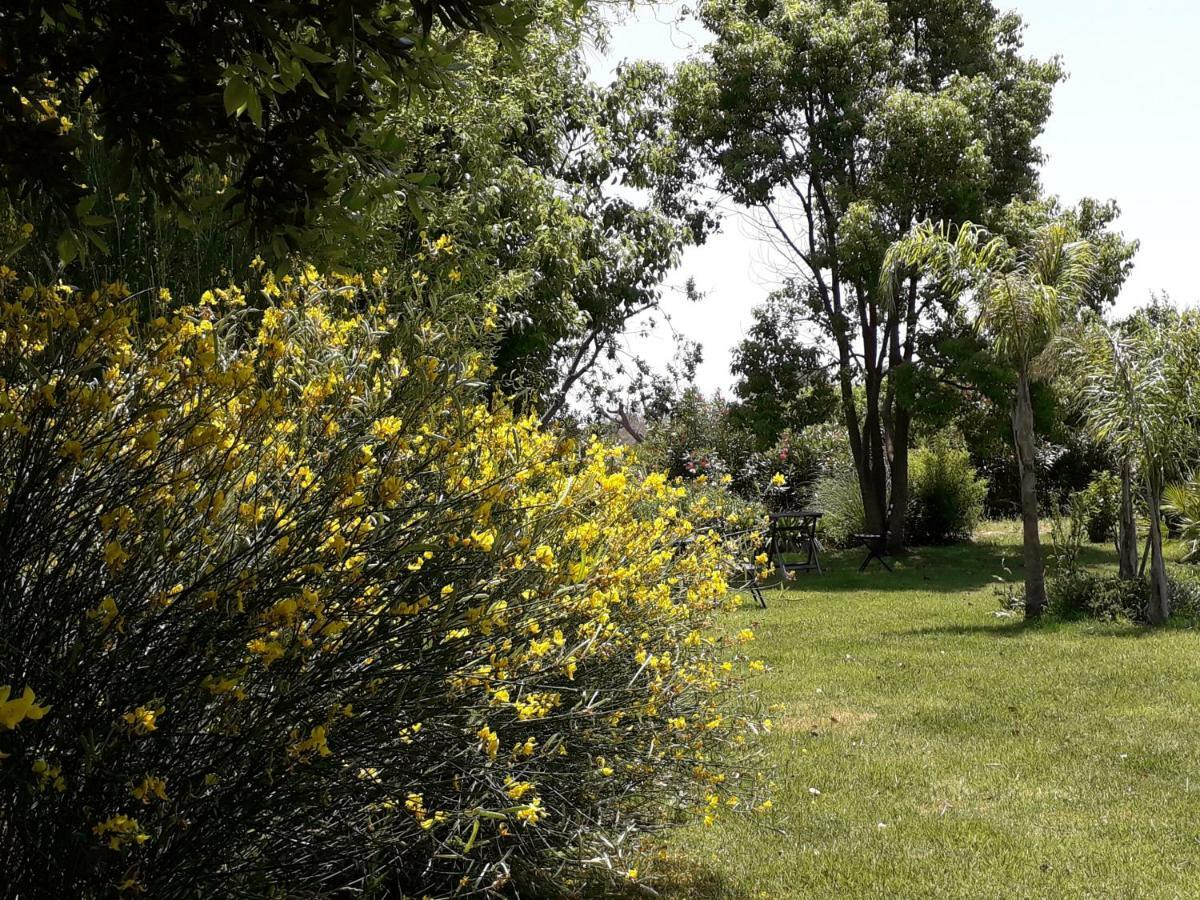 Casetta Vacanza In Campagna Aradeo Buitenkant foto